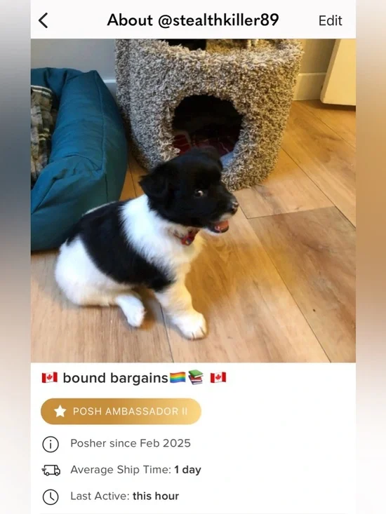 Black Dog Ramp/Stairs - Picture 9 of 13